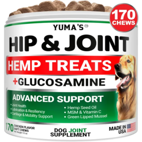 Hemp Hip And Joint Supplement For Dogs Glucosamine For Dogs Joint Pain Relief With MSM Advanced Dog Joint Supplement Health Glucosamine For Dogs (Option: 1pc)